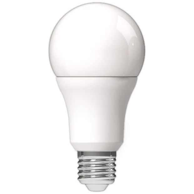 Avide LED Globe A60 9.5W E27 CW 6400K izzó